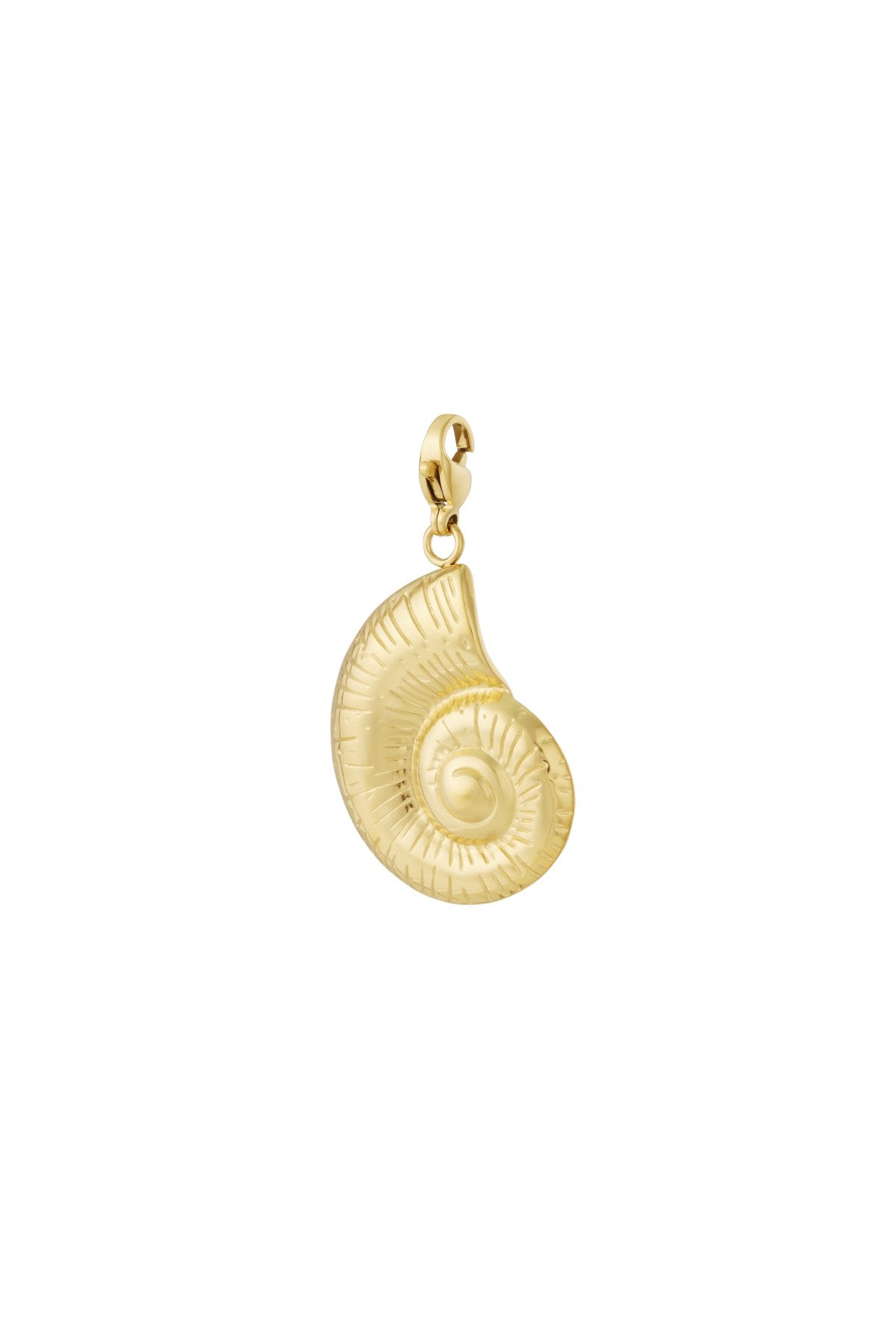Schelpen Bedel